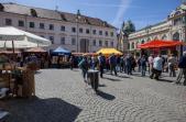 IMG_7657